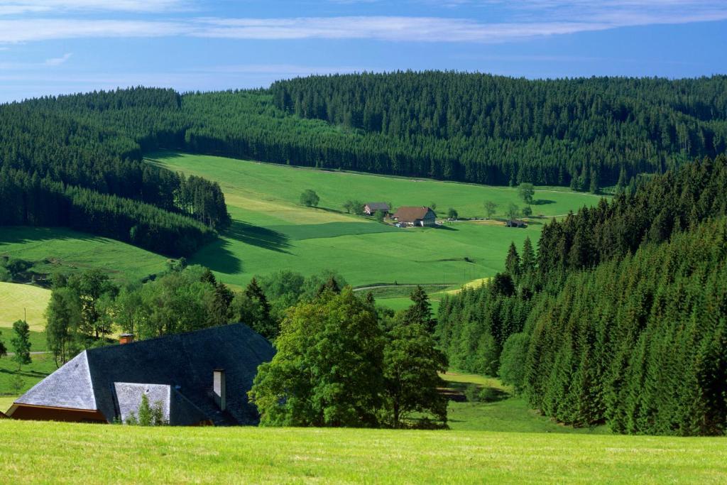 Gaestehaus Waldeck Titisee-Neustadt Exteriör bild